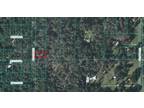 Belleview, Marion County, FL Undeveloped Land, Homesites for sale Property ID: