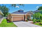 13305 Tiger Lilly Ln, Tampa, FL 33625