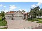 8232 Water Color Dr, Land O Lakes, FL 34638