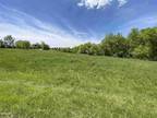 Plot For Rent In Lake Carroll, Illinois