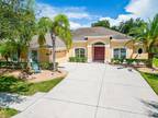 20254 Ravens End Dr, Tampa, FL 33647