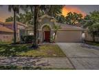 10490 Lucaya Dr, Tampa, FL 33647