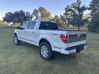 2013 Ford F-150 Platinum Super Crew 5.5-ft. Bed 4WD CREW CAB PICKUP 4-DR