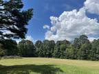 Collierville, Shelby County, TN Undeveloped Land for sale Property ID: 417605692