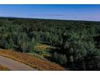 Rockville, Stearns County, MN Undeveloped Land for sale Property ID: 416191464