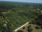Waldo, Alachua County, FL for sale Property ID: 416593336