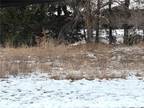 Colfax, Dunn County, WI Undeveloped Land, Homesites for sale Property ID: