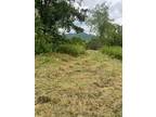 Plot For Sale In Alderson, West Virginia