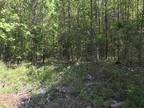 South Fulton , Fulton County, GA Undeveloped Land for sale Property ID: