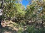 Plot For Sale In Annapolis, Missouri