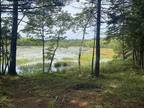 Adelbert Wile Road, Waterloo, NS, B4V 7T3 - vacant land for sale Listing ID