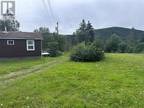 00 Old Bonne Bay Road, Wiltondale, NL, A8A 3L5 - recreational for sale Listing