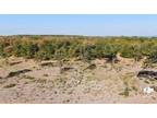 Perrin, Palo Pinto County, TX Undeveloped Land for sale Property ID: 417497013