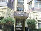 1250 S Indiana Ave #303 Chicago, IL 60605 - Home For Rent