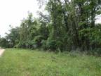Greenville, Jefferson County, FL Undeveloped Land for sale Property ID:
