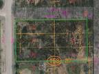 Carlinville, Macoupin County, IL Undeveloped Land, Homesites for sale Property