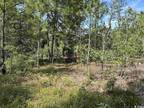 Plot For Sale In Dillon, South Carolina