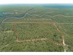 Sopchoppy, Wakulla County, FL Undeveloped Land for sale Property ID: 417194460