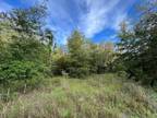 2 NW 20TH AVE, Bell, FL 32619 Land For Sale MLS# 788130