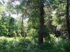 Tallahassee, Leon County, FL Undeveloped Land, Lakefront Property