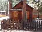 1061 Echo Rd South Lake Tahoe, CA 96150 - Home For Rent