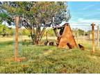 ON SALE - Portable Chicken Yard (Garden) Fence Posts For Free Range Chicken Coop