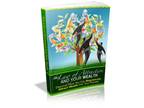Ebook: The Law Of Attraction And Your Wealth