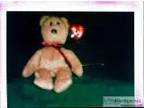 Ty Beanie Baby Curly - teddy bear