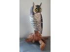 Vtg Signed Walter T Powell Large Owl Carving Decoy Bird 14"