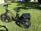 Addmotor adult electric trike