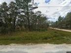 Weeki Wachee, Hernando County, FL Undeveloped Land, Homesites for sale Property