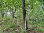 Plot For Sale In Mayfield, Michigan
