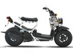 2007 Honda Ruckus®