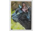 Aceo Black Cat atc original oil painting feline portrait contemporary art signed