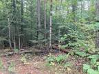 Plot For Sale In Dorchester, New Hampshire