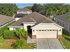 3722 Beneraid St, Land O Lakes, FL 34638