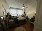 Condo For Rent In Chicago, Illinois