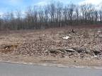 Granby, Hampshire County, MA Undeveloped Land, Homesites for sale Property ID: