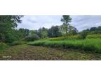 Plot For Sale In Albion, New York