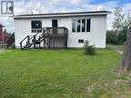 15 4Th Avenue, Badger, NL, A0H 1A0 - house for sale Listing ID 1263270