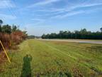 Sylvania, Screven County, GA Undeveloped Land, Commercial Property for sale