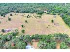 Lithia, Hillsborough County, FL Undeveloped Land for sale Property ID: 416584984