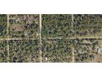 Clewiston, Hendry County, FL Undeveloped Land, Homesites for sale Property ID: