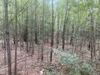 Plot For Sale In Salley, South Carolina