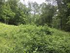 Plot For Sale In Rhinebeck, New York