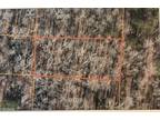 Plot For Sale In Greensboro, North Carolina