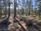Show Low, Beautiful treed lot within Sierra Pines