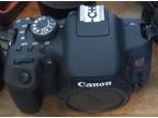 Canon EOS Rebel T6i 24.2 Mp 12800 ISO/6400 ISO Video + 4 Canon Lenses