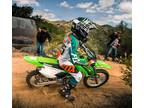 2023 Kawasaki KLX 140R Motorcycle for Sale