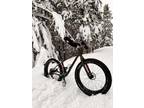 Trek Farley 9.7 2020 Large